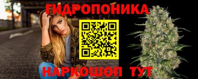 таблы Кингисепп